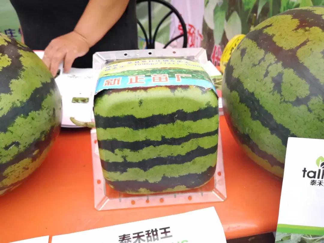 厉害了!聊城这个地方又火了一把!现场直击