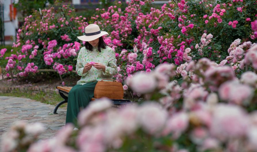 金华免费景点大全,金华景点免费政策