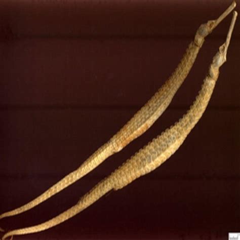 补肾养肾10个最有效的方法,怎样补肾精最快最有效的方法