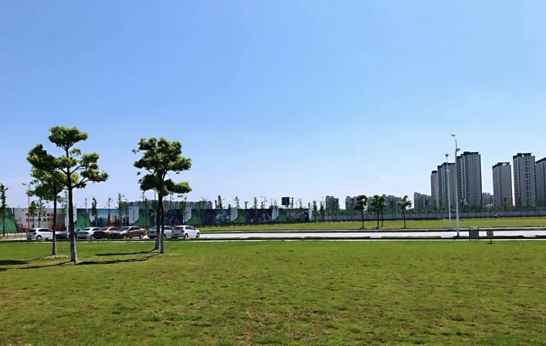 万达广场大足球场,松江万达旁边的草坪