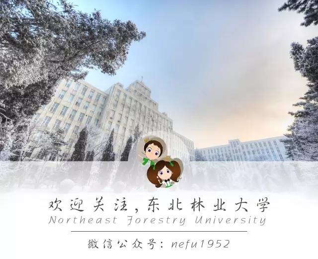 东林美人志|毕业生-丹宇卓：保研北大的元气少女