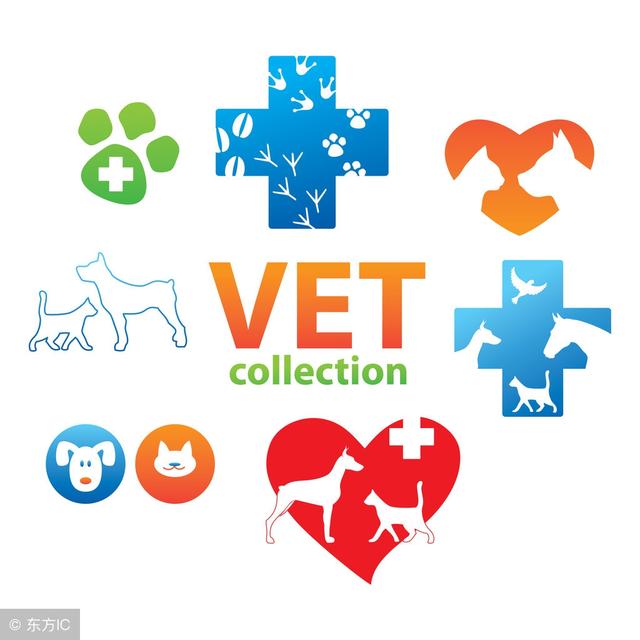 比较喜欢动物学什么专业,喜欢小动物上什么大学