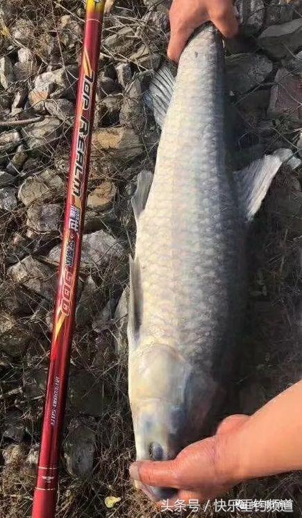 选鱼竿什么调性,选鱼竿认准这3点