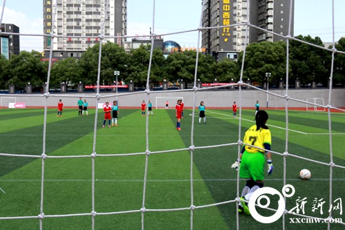 2024娄底市茵浪杯精英赛,茵浪杯足球赛