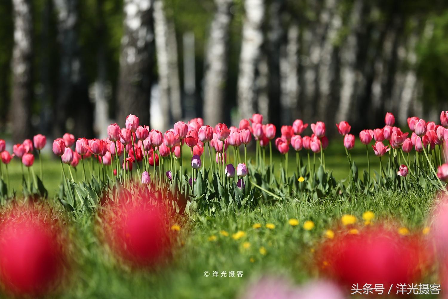 对俄罗斯的刻板印象,莫斯科对于俄罗斯人意味着什么