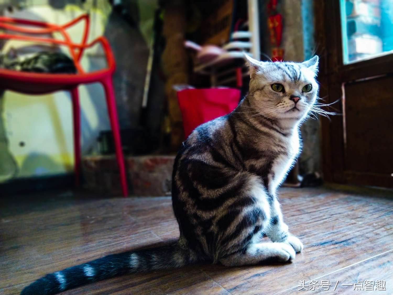 诺基亚x60多少钱一台,好用便宜的诺基亚拍照手机