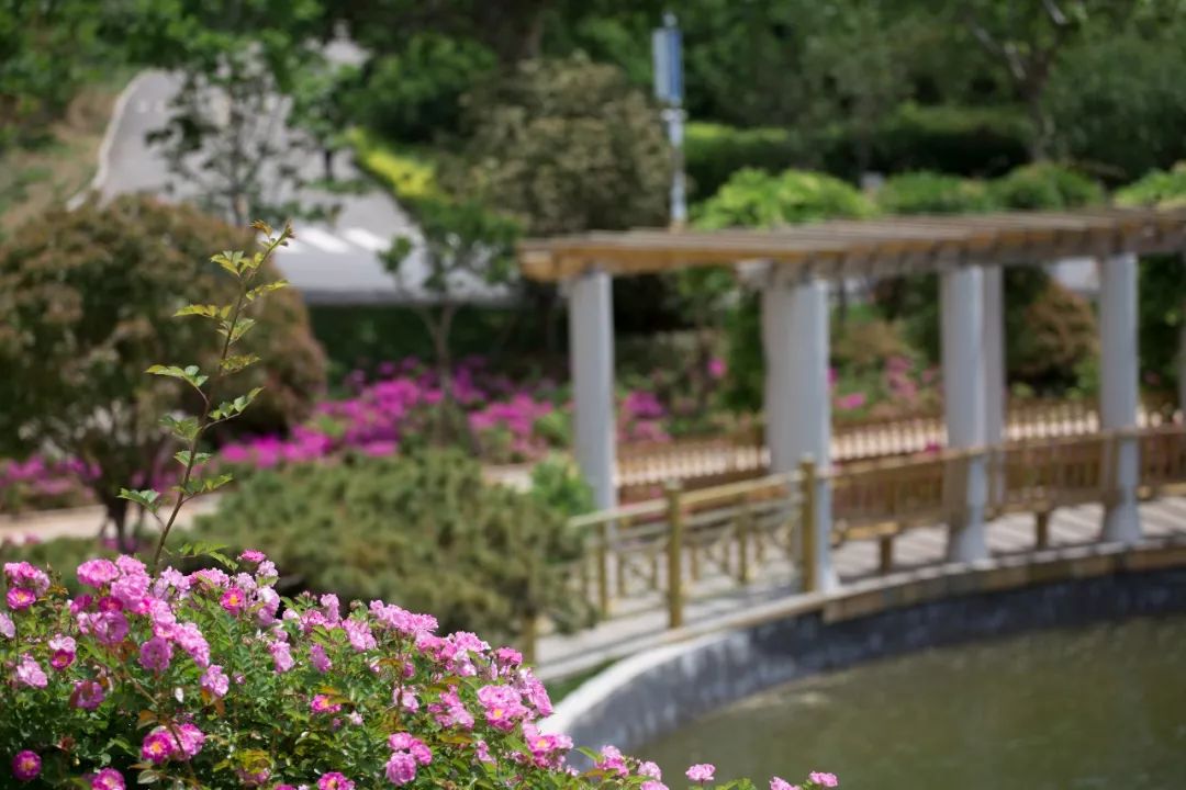 海大校花,海大双胞胎校花