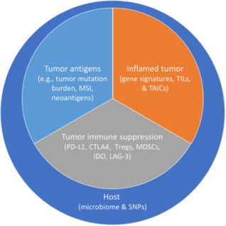 cell子刊教学视频,肺癌的基因检测和靶向治疗ppt