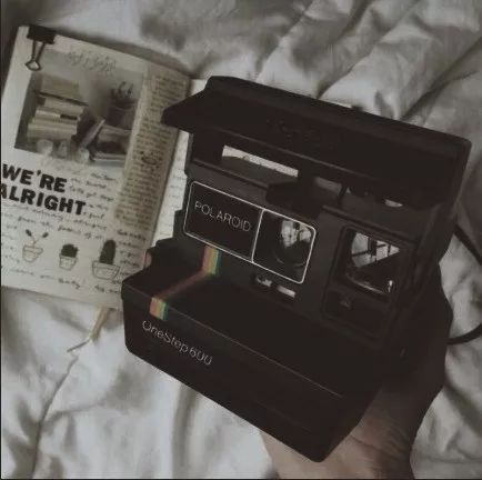 小贾和卡戴珊都用的拍立得APP，真得不试一下吗？丨编辑推荐