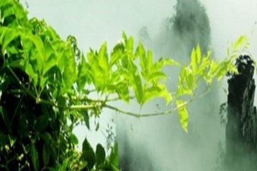 婀栧寳鎭╂柦鍦熷钘よ尪,鎭╂柦鍦熷钘よ尪鍔熸晥