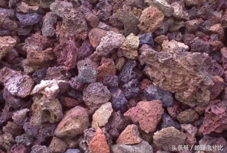 颗粒土和营养土哪个养多肉好,养多肉用什么土和什么肥料