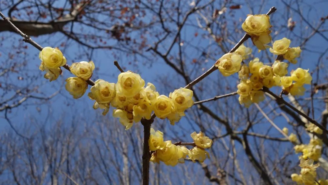上海旅游必去建筑,时光之旅上海马戏城