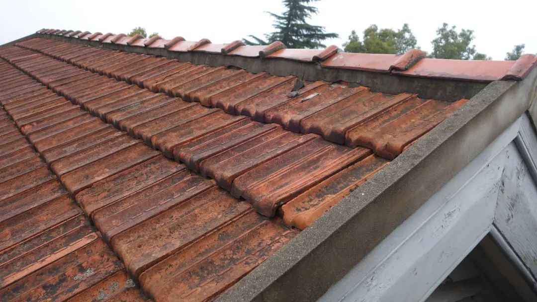 上海旅游必去建筑,时光之旅上海马戏城