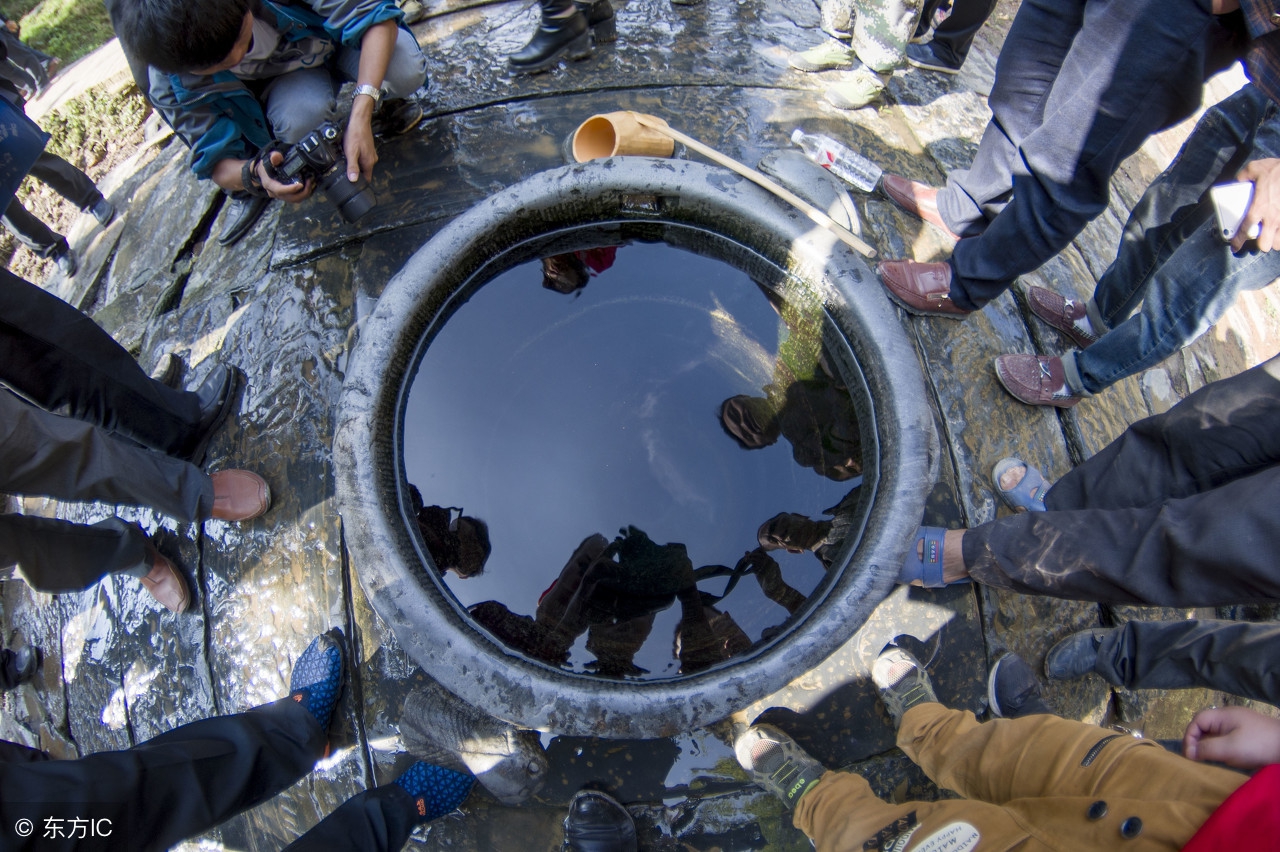 干枯的河挖出黄鳝还敢咬人,秧田掉黄鳝