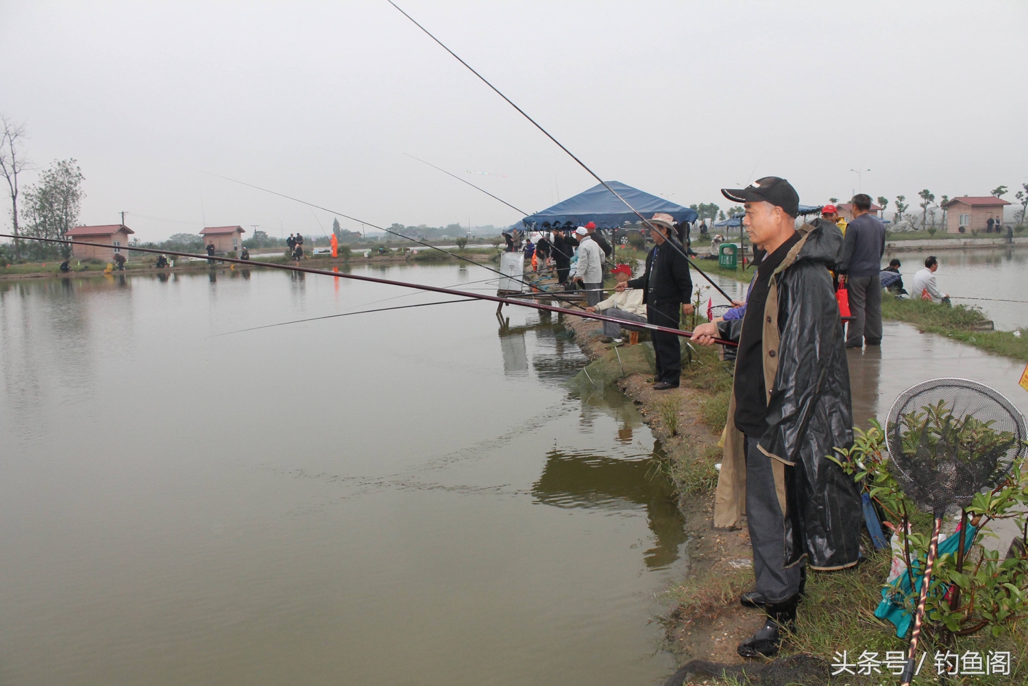 虾粉和蚕蛹粉哪个效果好,鱼饵蚯蚓粉和虾粉哪个效果好