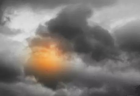 围观奇云社长的长相，都是泼墨给弄的！