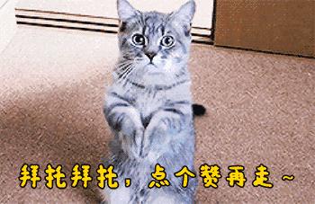 一手股市,一手股票