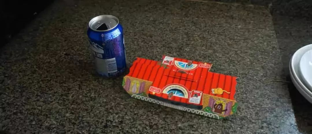 我竟然给蟑螂买了一套房子并请它喝了一罐哈尔滨？