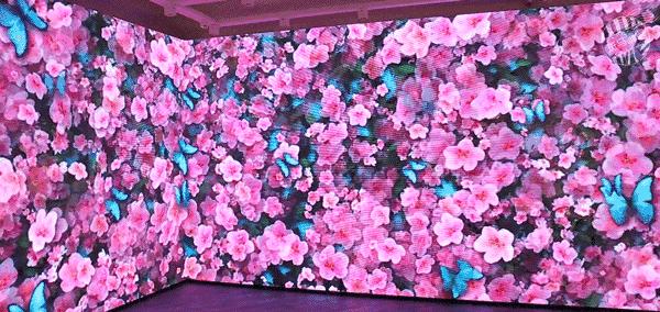 徐汇区逛吃,徐汇逛吃