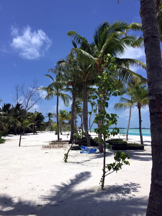 马代有毒，去过就停不下来~马尔代夫奥臻岛ozen