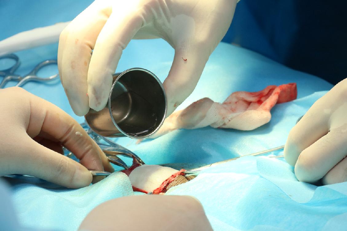 吉林省首个内置生物套技术临床协作单位落户长春航天生殖健康医院