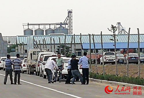 乐源牧业最新消息,乐源牧业现状