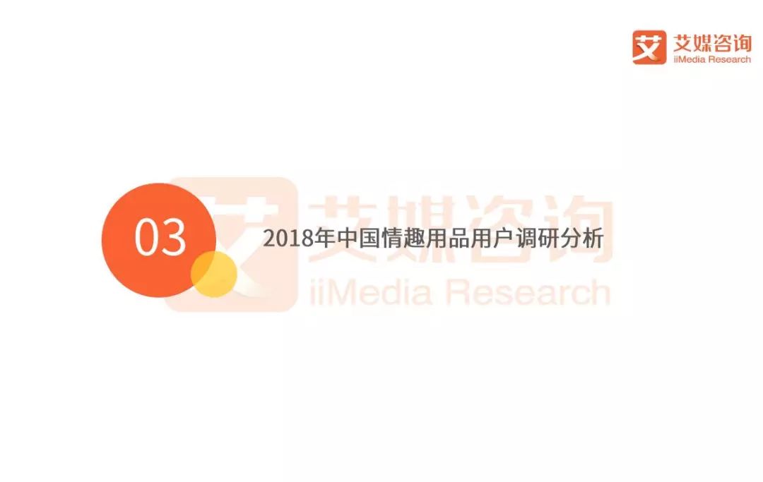 2018Q1中国情趣用品专题研究报告