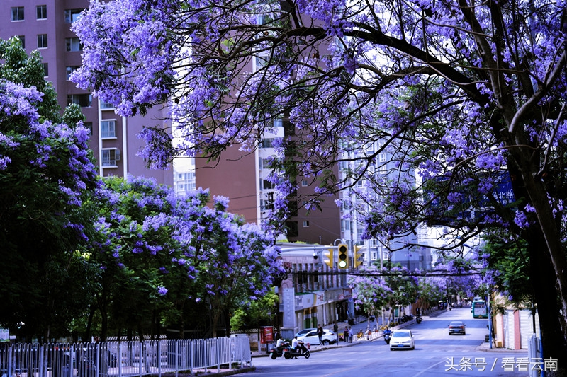 昆明，你到底得罪了谁？