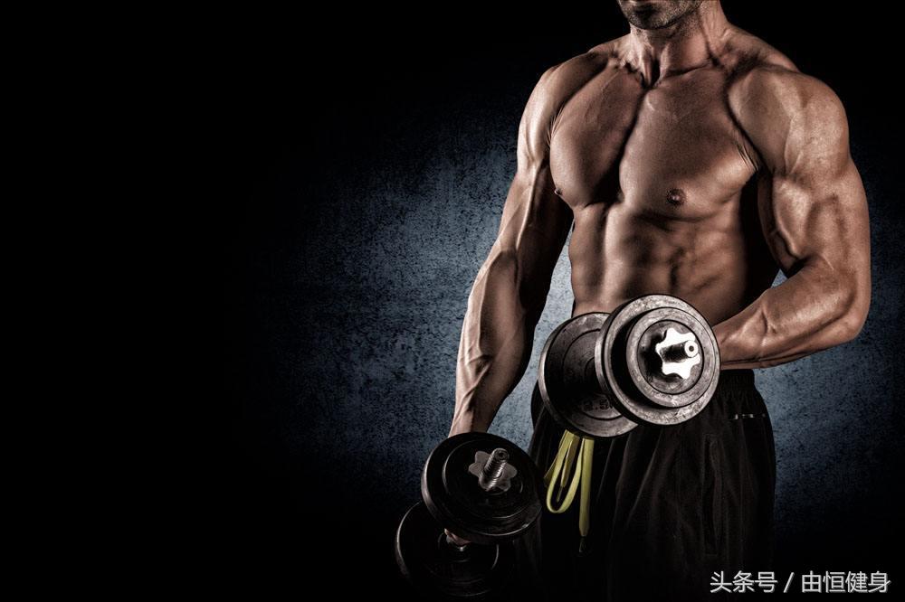 初学者哑铃训练动作大全,哑铃训练动作大全初学者跟着做