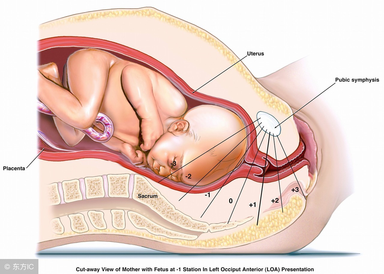 为什么医生建议顺产不建议剖腹产,为什么建议顺产不建议剖腹产