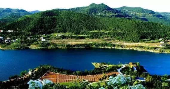 确认过眼神我遇见对的人的表情,确认过眼神我遇上对的人什么梗