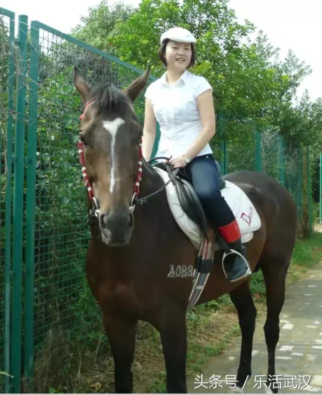 武汉学风好的大学,武汉高校外号