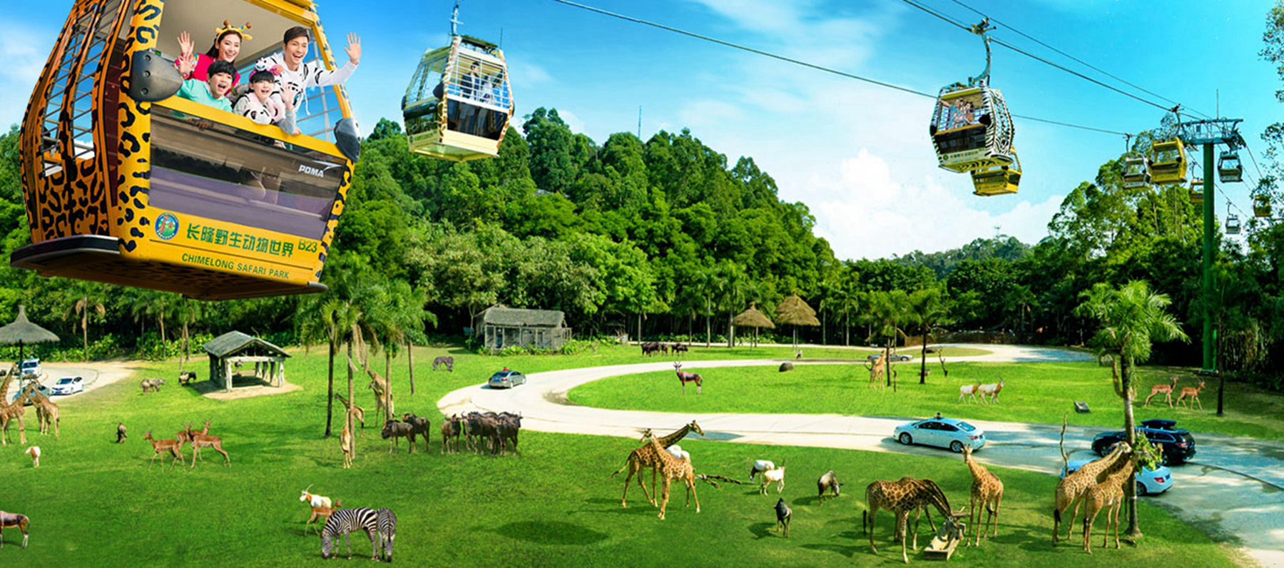 永川野生动物园亚洲最大,南京红山森林动物园亚洲虎