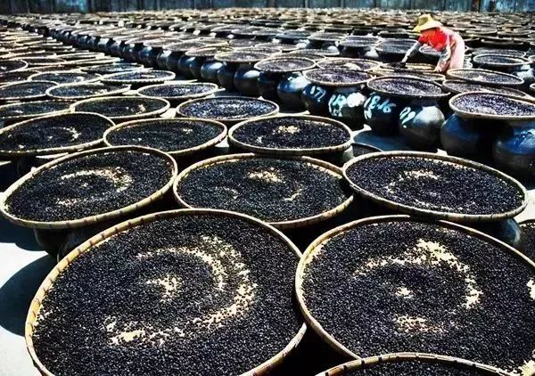 化血栓最快的茶是什么茶,化血栓最快的食物