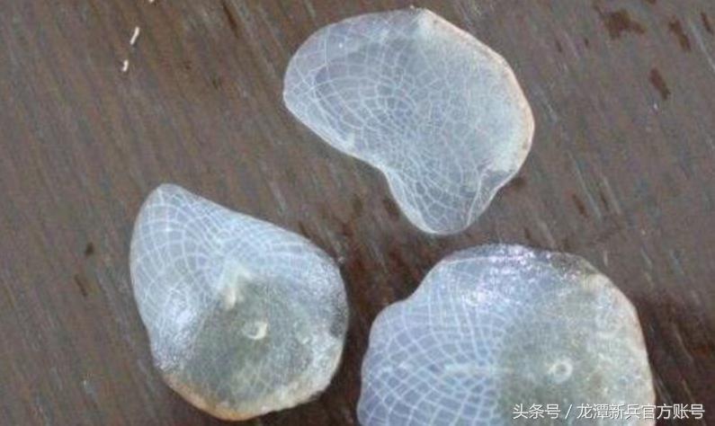 龙把鳞片抠一两片会死吗,龙被拔掉鳞片会怎么样