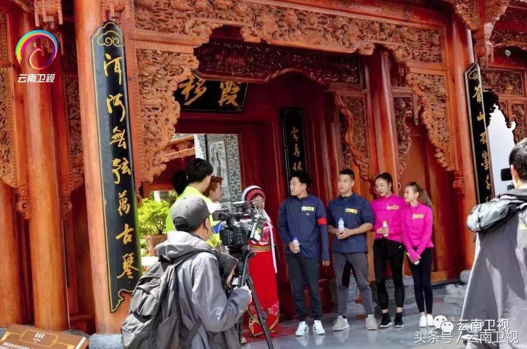 无敌双子星免费阅读,无敌双子星直播