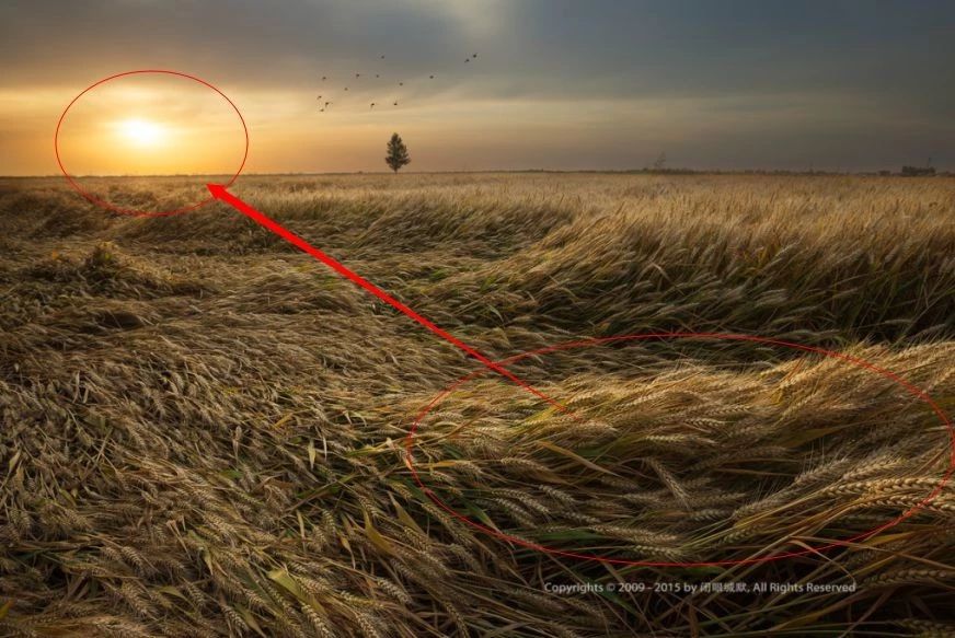 如何拍出油腻感的照片,怎么拍出油腻照片