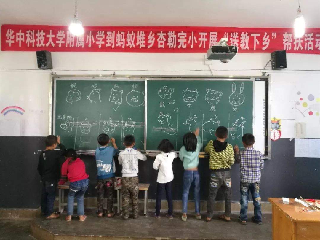 1268名大学生志愿者,20所高校志愿者