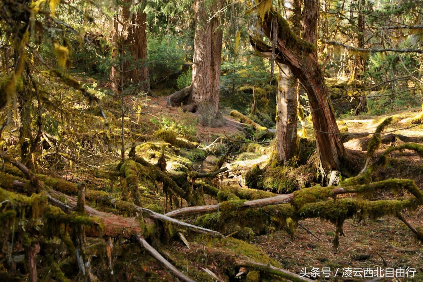 行，为寻三生三世桃花，却爱上了*藏西**的那抹蓝
