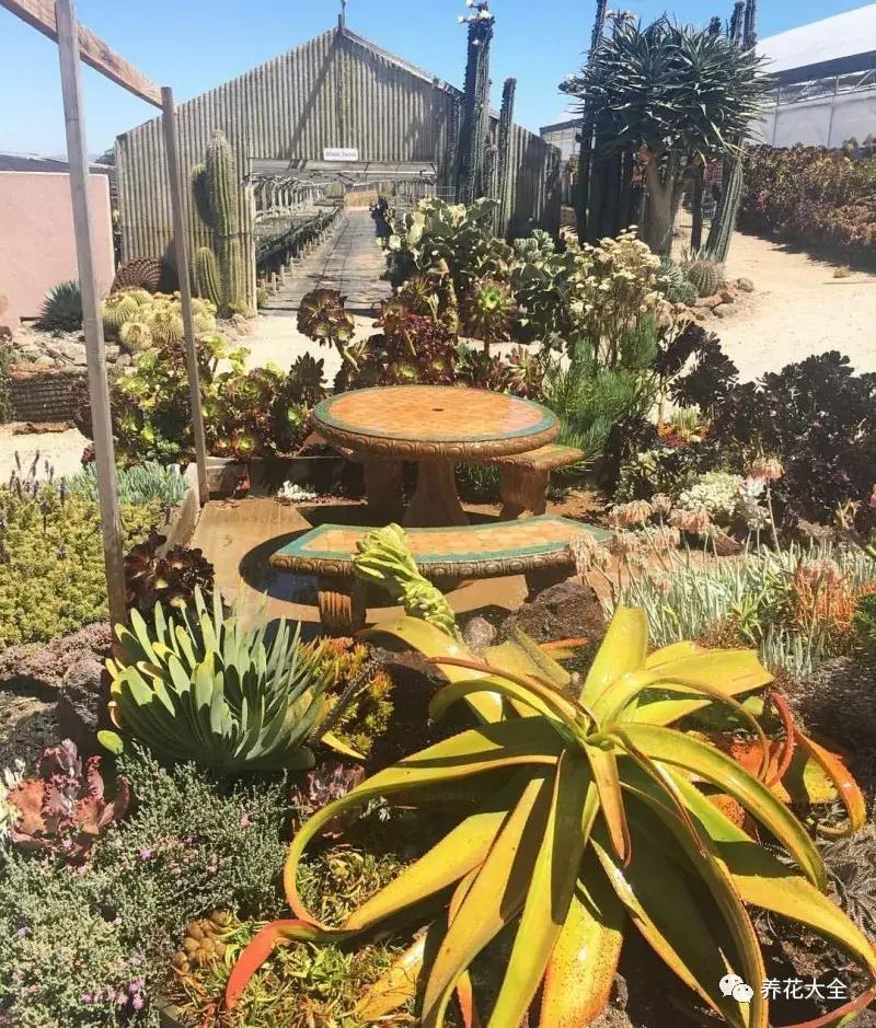 老外私家花园景观,国外多肉花园