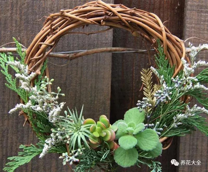 老外私家花园景观,国外多肉花园