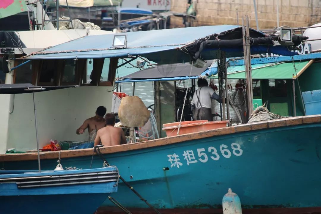 香港仔避风塘的介绍,香港仔避风塘图片