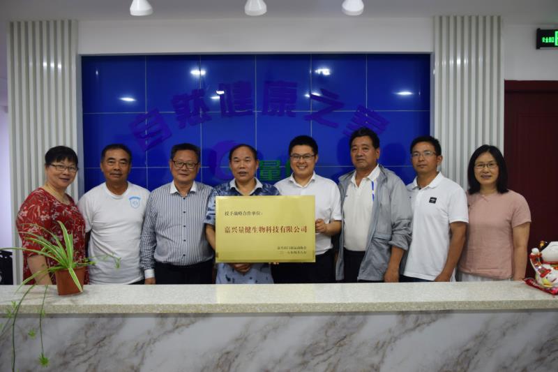 2018全国门球锦标赛视频,2018全国门球公开赛比赛视频