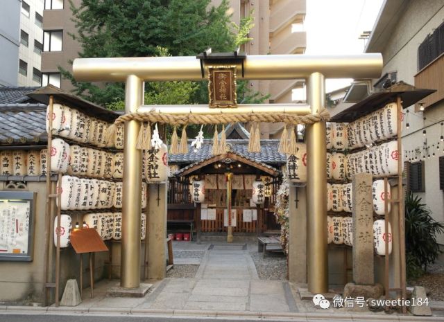 京都大阪奈良旅游游记,暴走大阪京都