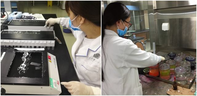 病理报告为什么不能确诊,病理报告为啥什么也没写