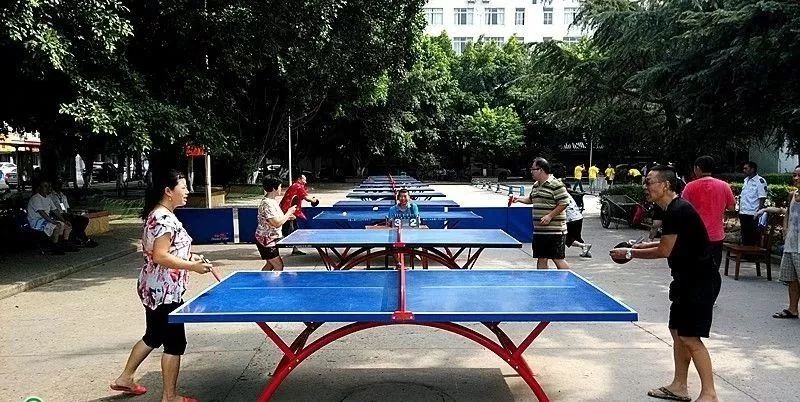 南充综合性体育馆,南充体育馆对外开放吗