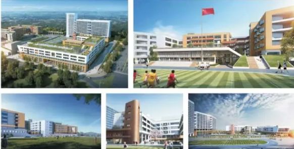 5年后你会住什么房子,住龙华好吗