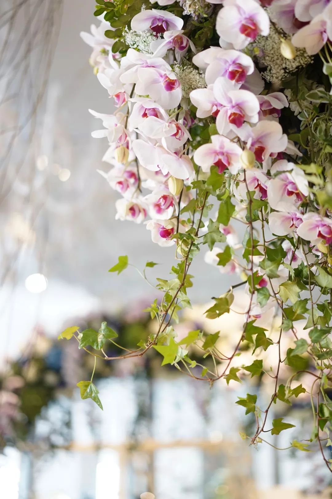 第十六期“眼界论坛”精彩亮相！｜爱花之人，必是情愫满满