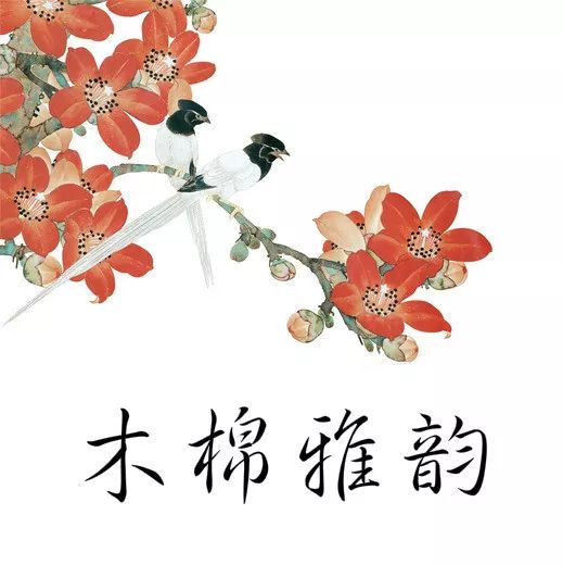 新鞋挤脚后跟怎么办,新鞋挤脚趾怎么办