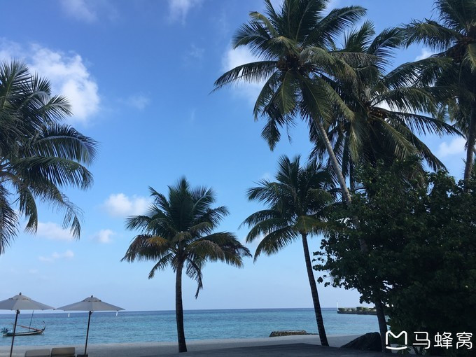 蜜月之都马尔代夫,蜜月旅行之马尔代夫
